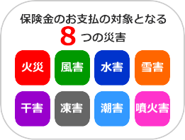 森林保険